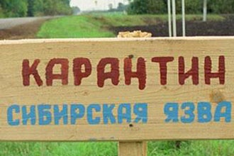 В Курской области обнаружена сибирская язва