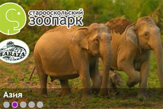В Белгородской области появится первый в России классический сафари-зоопарк