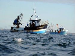ЕС продлил запрет на промысел глубоководных акул