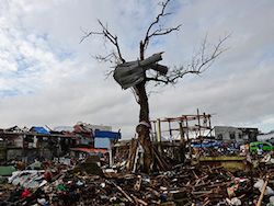 Филиппинка нашла пропавшую год назад во время тайфуна собаку