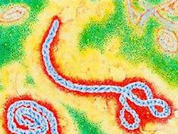 Первый гражданин Италии заразился Эболой