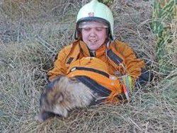 Сотрудники белорусского МЧС спасли енота