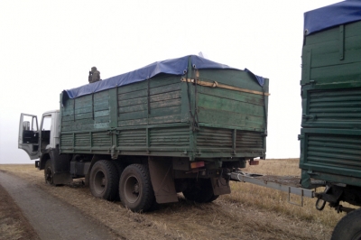 На белгородской границе задержали свыше 25 тонн нелегального мяса