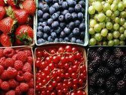 Медики: ягоды спасут организм от жирного рациона