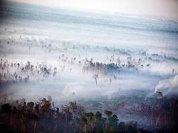 В Индонезии 50 тысяч человек заболели из-за смога