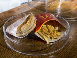 Исландец показал шестилетний бургер из McDonalds