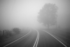 Водителей Белгородской области предупреждают о сильном тумане на дорогах