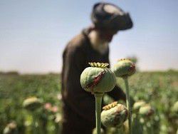 Афганистан — край наркотиков