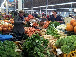 Китай создаст двадцать овощных баз для экспорта овощей