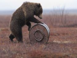 Кто продолжает пугать Конгресс "русским медведем"?