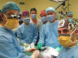 Хирурги провели успешную операцию по пересадке пениса