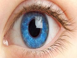 Исследование: структура глаза влияет на зрение