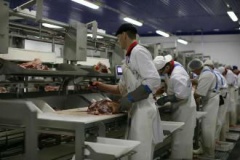 Через год в Белгородской области появится новое мясоперерабатывающее предприятие