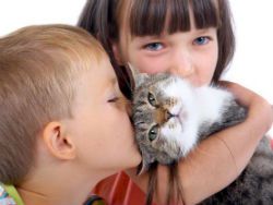 Учёные: общение с кошками делает детей глупее