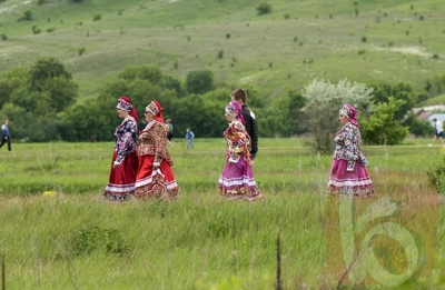 Фестиваль казачьей культуры «Холковский сполох» прошёл в Белгородской области