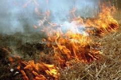 Жара «подожгла» траву на приграничной зоне в Белгородской области