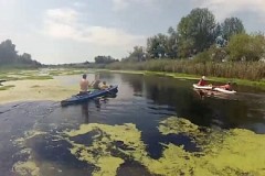 Стойленский ГОК организовал экологическую акцию